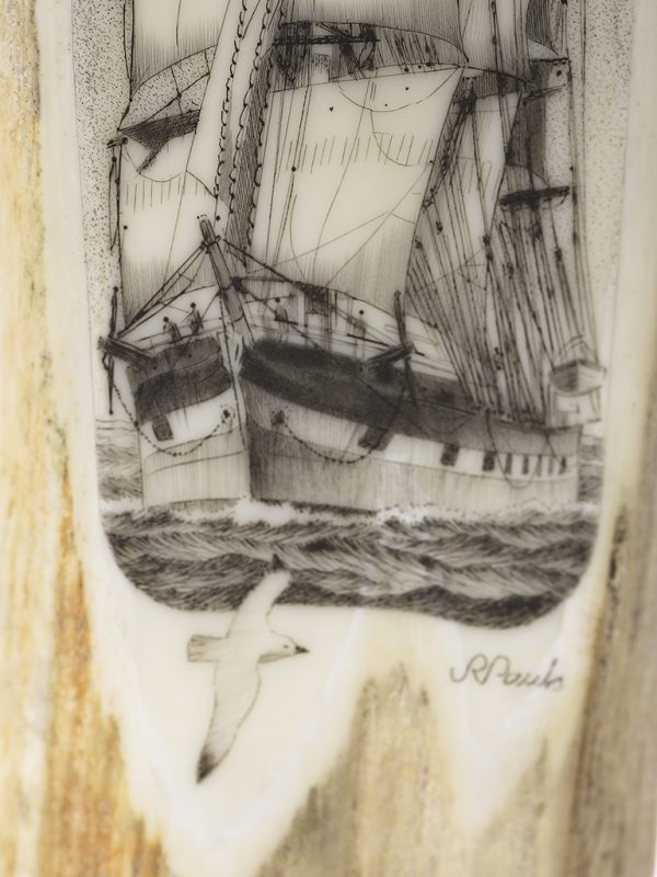 Jim Pauls Scrimshaw - Windsor Park Windjammer