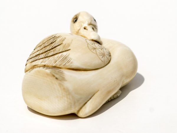 Unknown Artist - Ivory Duck Netsuke