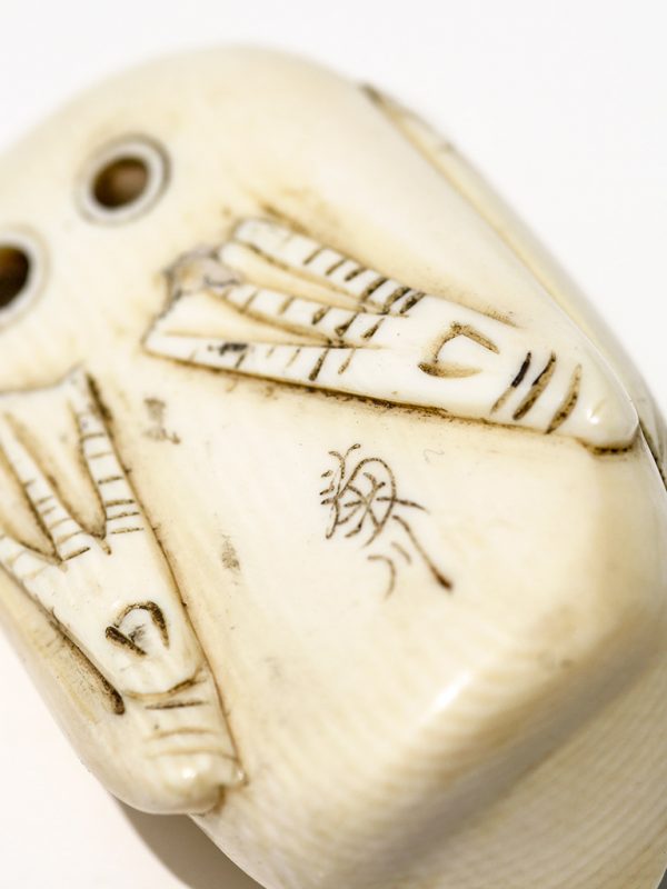 Unknown Artist - Ivory Duck Netsuke