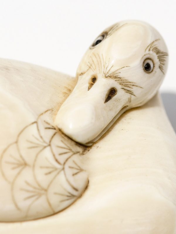 Unknown Artist - Ivory Duck Netsuke