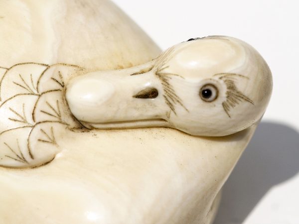 Unknown Artist - Ivory Duck Netsuke