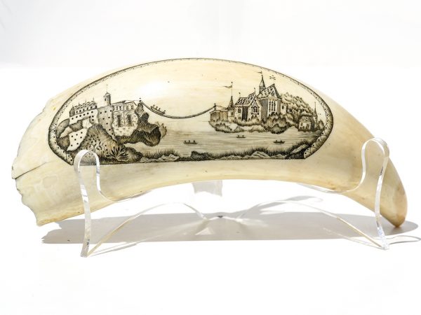 Unknown - Barbara Johnson Scrimshaw Collection