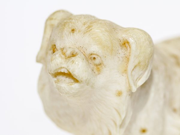 Unknown Carver - Pekingese Ivory Carving