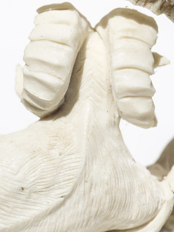 Moose Antler Bighorn Sheep Carving - Scrimshaw Collector