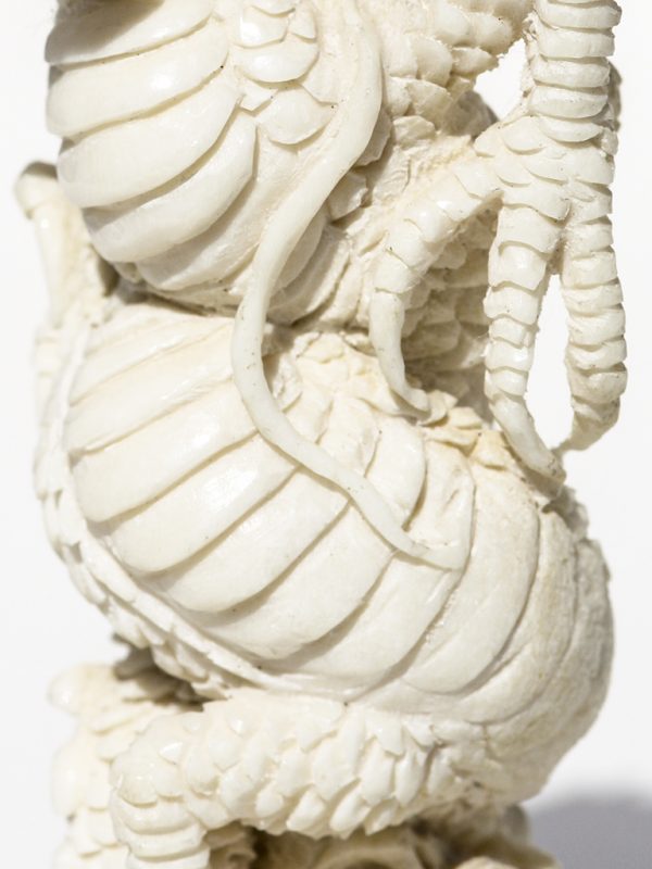 Unknown Carver - Dragon With Attitude - Scrimshaw Collector