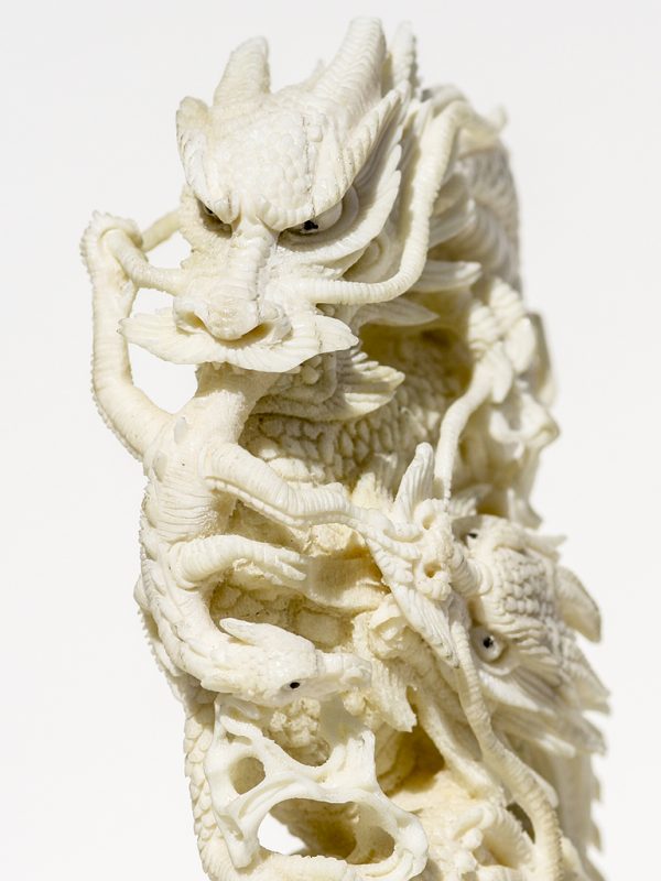 Unknown Artist - Dragon Mother and Egg - Scrimshaw Collector