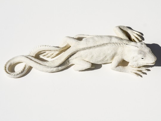 Unknown Artist - Outstanding Carved Iguana - Scrimshaw Collector