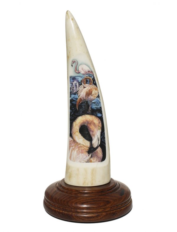 Byrne Scrimshaw - Preening Flamingo Group - Scrimshaw Collector