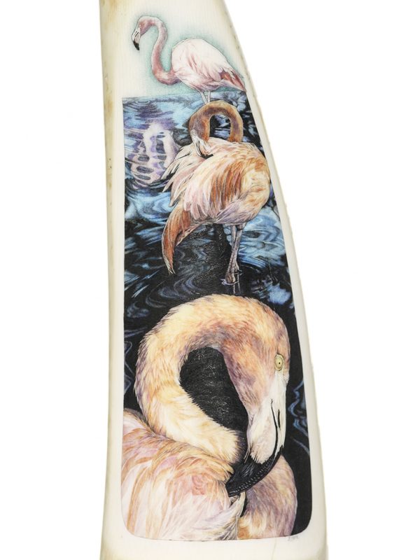 Byrne Scrimshaw - Preening Flamingo Group - Scrimshaw Collector