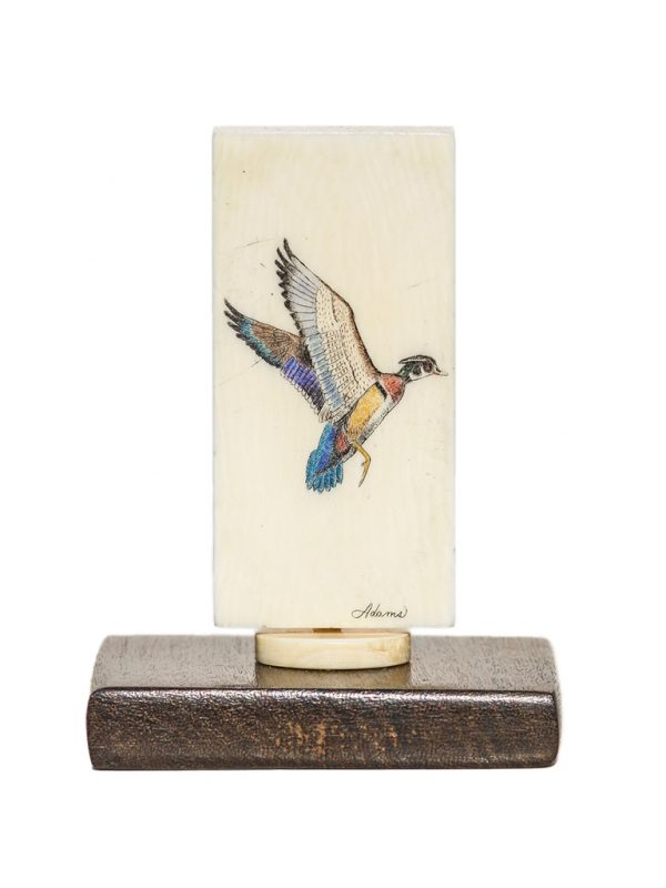 David Adams Scrimshaw - Woodduck on Antique Domino