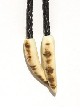 Fossil Ivory Bolo and Buckle Set