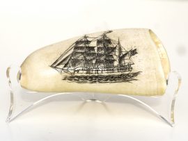Unknown Artist - Whaler Scrimshaw on Whale's Tooth