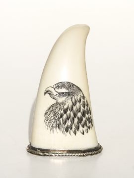 Falcon Scrimshaw on Whale's Tooth - Scrimshaw Collector