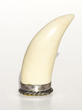 Unknown Artist - Raw Whale's Tooth in Sterling Base