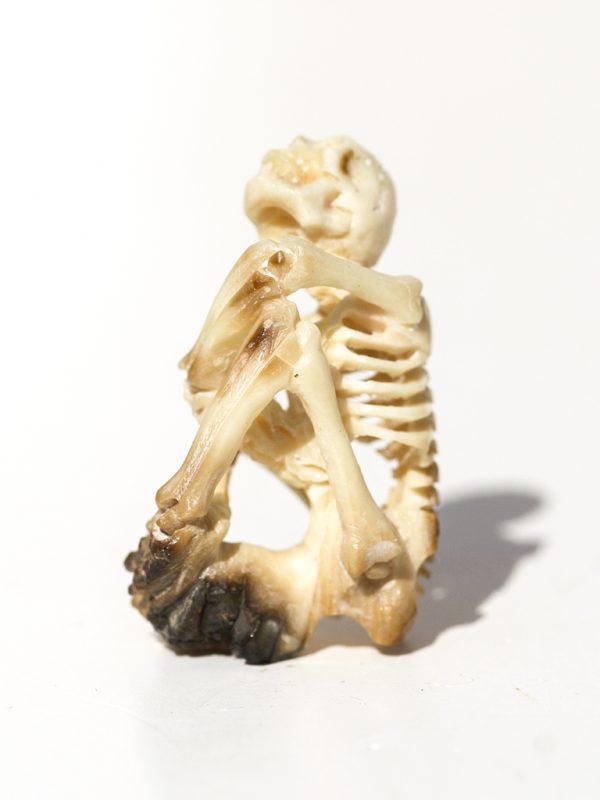 Unknown Artist - Yoga Pose Skeleton Carving - Scrimshaw Collector