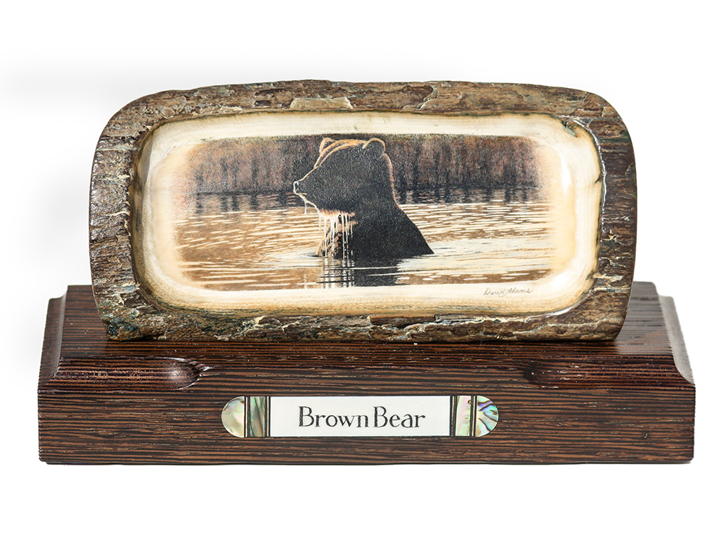 David Adams Scrimshaw - Brown Bear