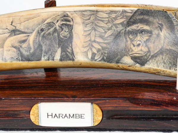 David Smith Scrimshaw - Harambe