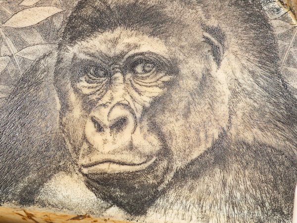 David Smith Scrimshaw - Harambe