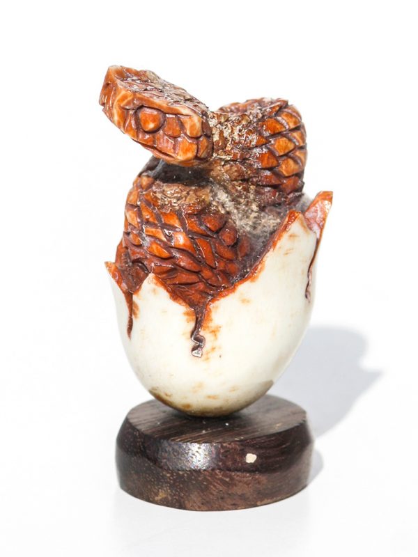 Unknown Artist - Rattlesnake in Egg Carving