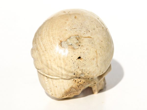 Unknown Artist - Carved Skull with Beret