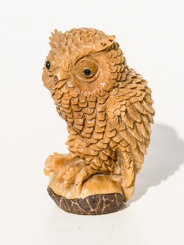 Unknown Artist - Owl Carving on Tagua Nut