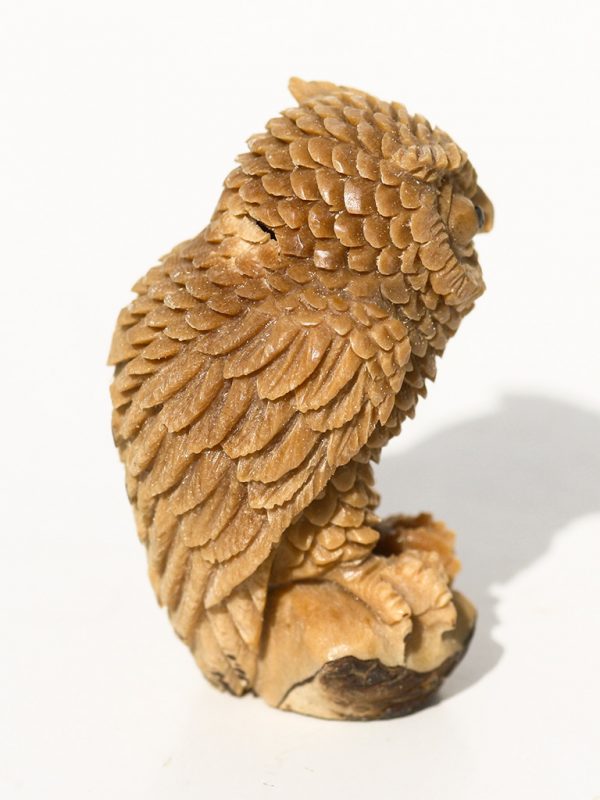 Unknown Artist - Owl Carving on Tagua Nut