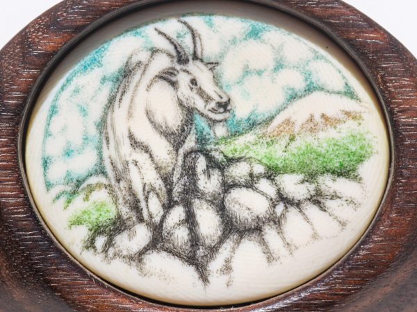 Unknown Artist - Mountain Goat Scrimshaw