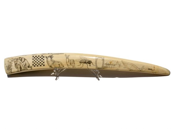 Ed Mandrin - Native Scenes Huge Walrus Tusk