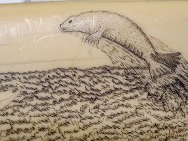 Ed Mandrin - Native Scenes Huge Walrus Tusk