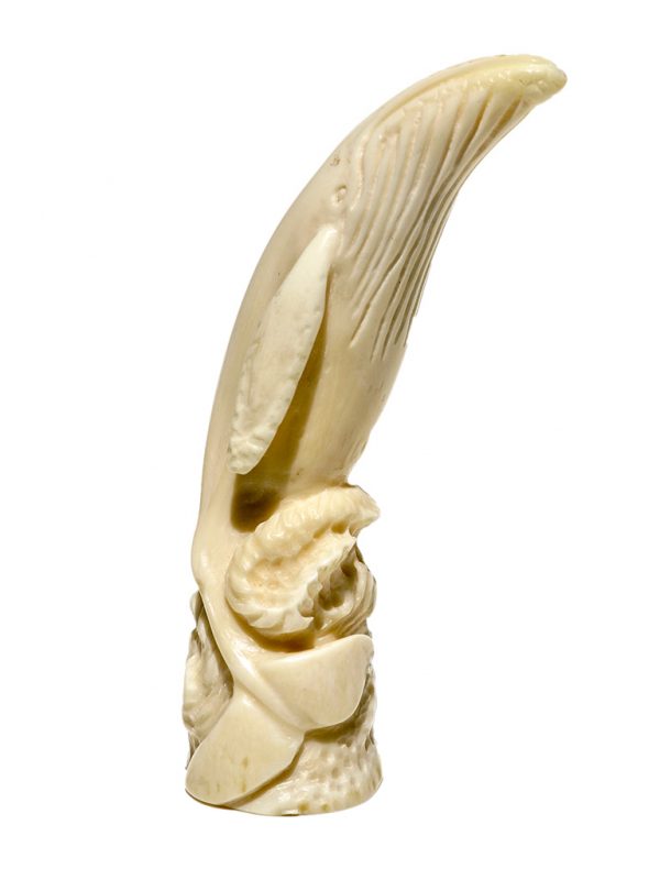 Albin Geiger Carver - Carved Whale Ivory Whale