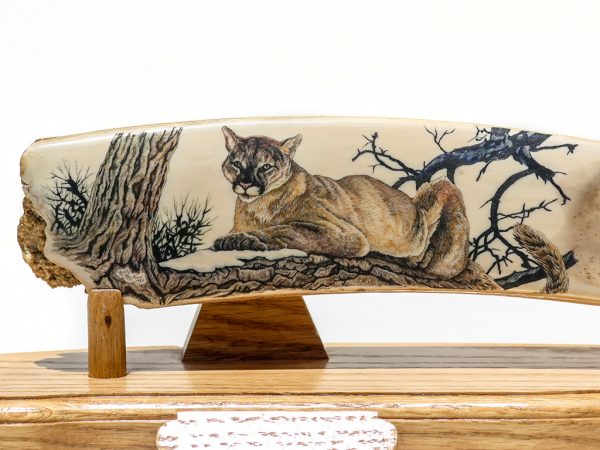 Kelly Mulford Scrimshaw - Puma in Winter