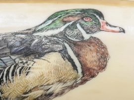 Kelly Mulford Scrimshaw - Wood Duck Family