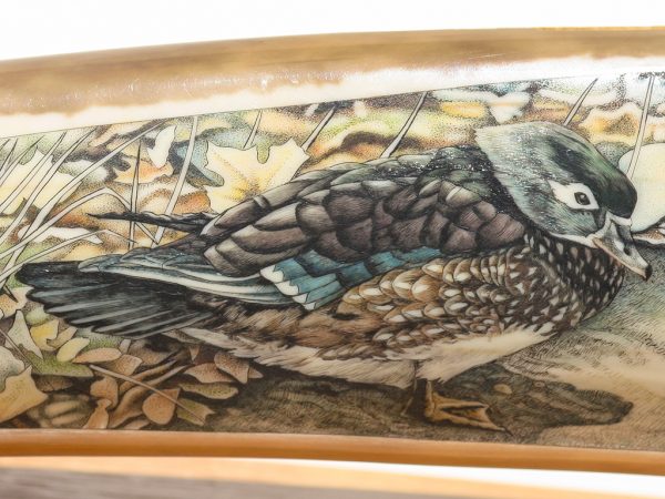 Kelly Mulford Scrimshaw - Wood Duck Family