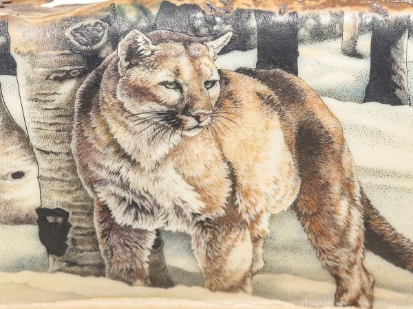 Kelly Mulford Scrimshaw - Hunting Puma in Snow