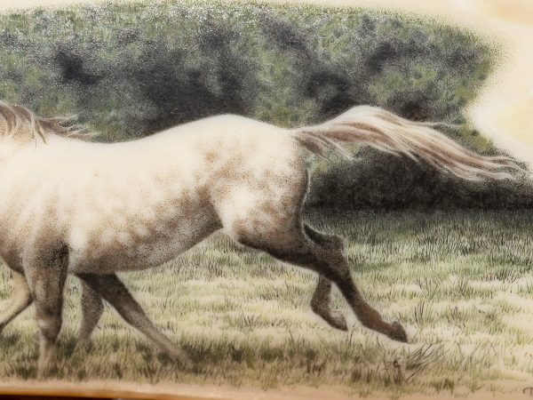 Terry Nelson Scrimshaw - Horses Running Free