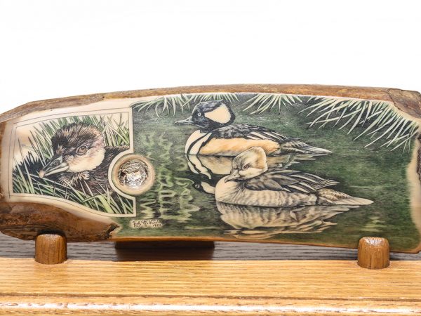 Kelly Mulford Scrimshaw - Hooded Merganser Family