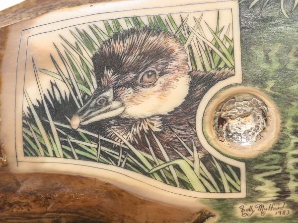 Kelly Mulford Scrimshaw - Hooded Merganser Family