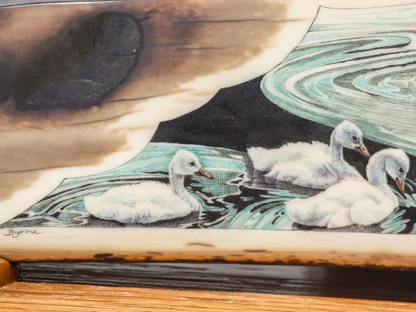 Mary Byrne Scrimshaw - Mystical Swan Family