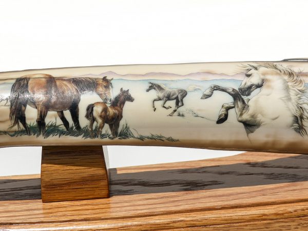 Mary Byrne Scrimshaw - Wild Stallion and Herd