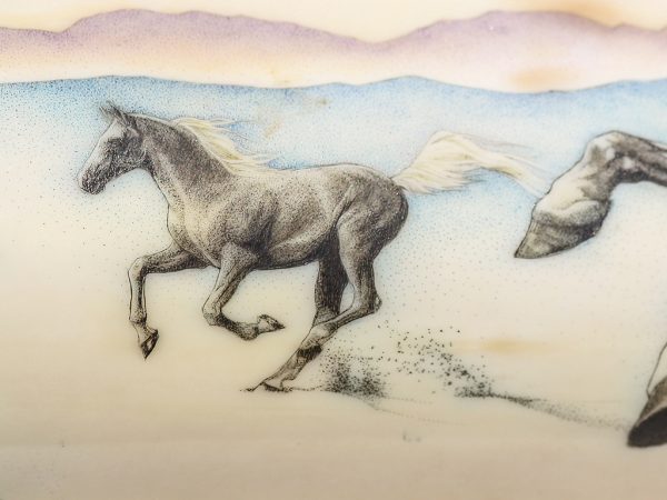 Mary Byrne Scrimshaw - Wild Stallion and Herd