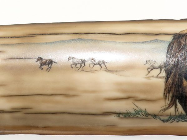 Mary Byrne Scrimshaw - Wild Stallion and Herd