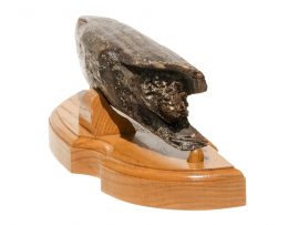 Heidi Robichaud Scrimshaw - Rocky Mountain Goat