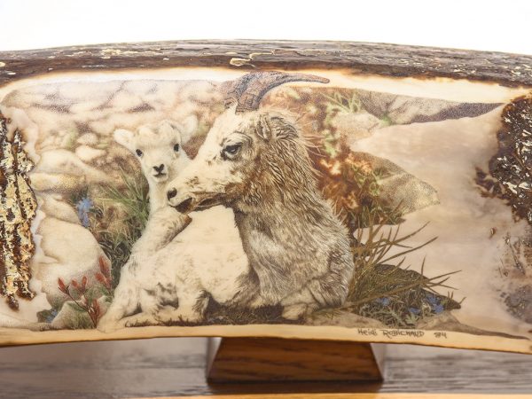 Heidi Robichaud Scrimshaw - Rocky Mountain Goat