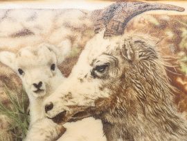 Heidi Robichaud Scrimshaw - Rocky Mountain Goat