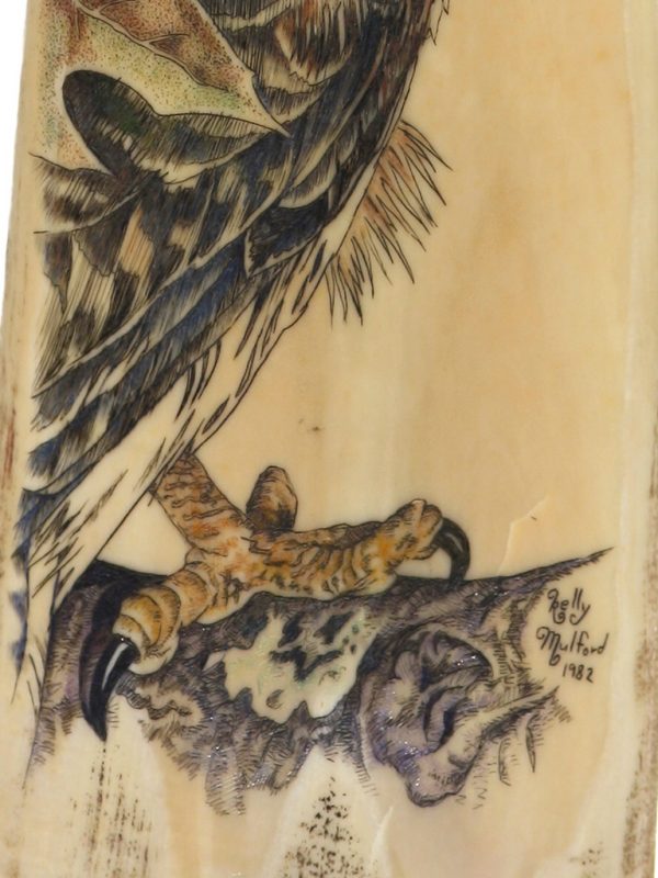 Kelly Mulford Scrimshaw - Perched Peregrine Falcon