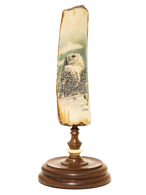 Kelly Mulford Scrimshaw - Majestic Snowy Owl