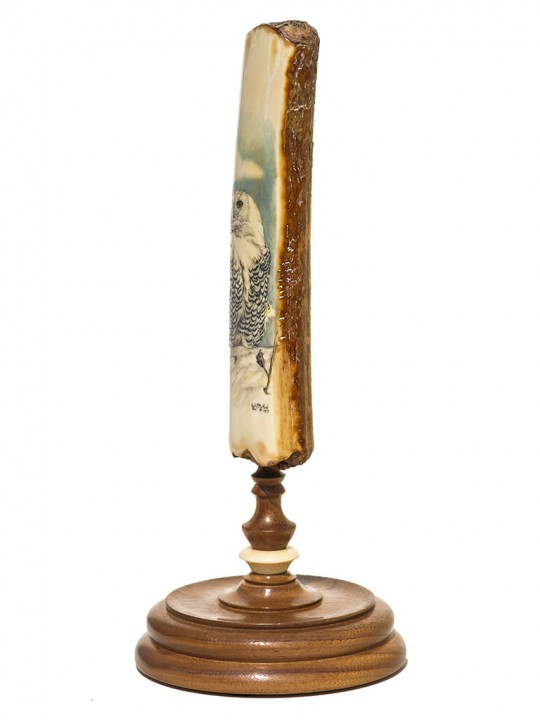 W028b-270x360@2x.jpg W028b-270x360@2x.jpg