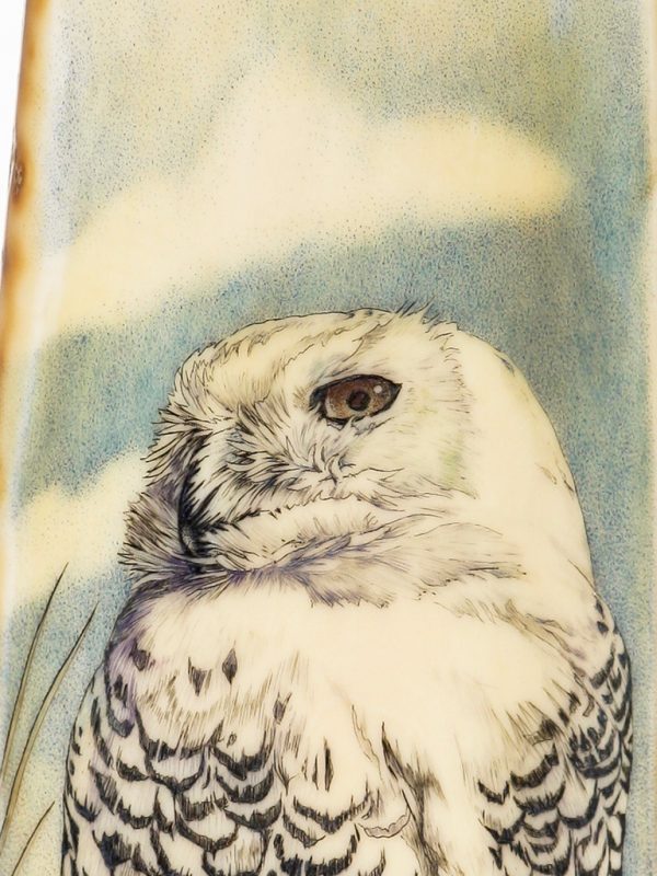 Kelly Mulford Scrimshaw - Majestic Snowy Owl