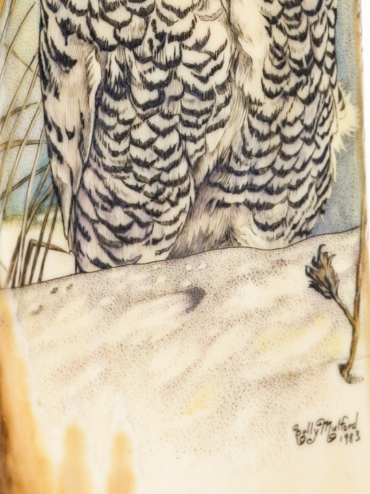 Kelly Mulford Scrimshaw - Majestic Snowy Owl - Scrimshaw Collector