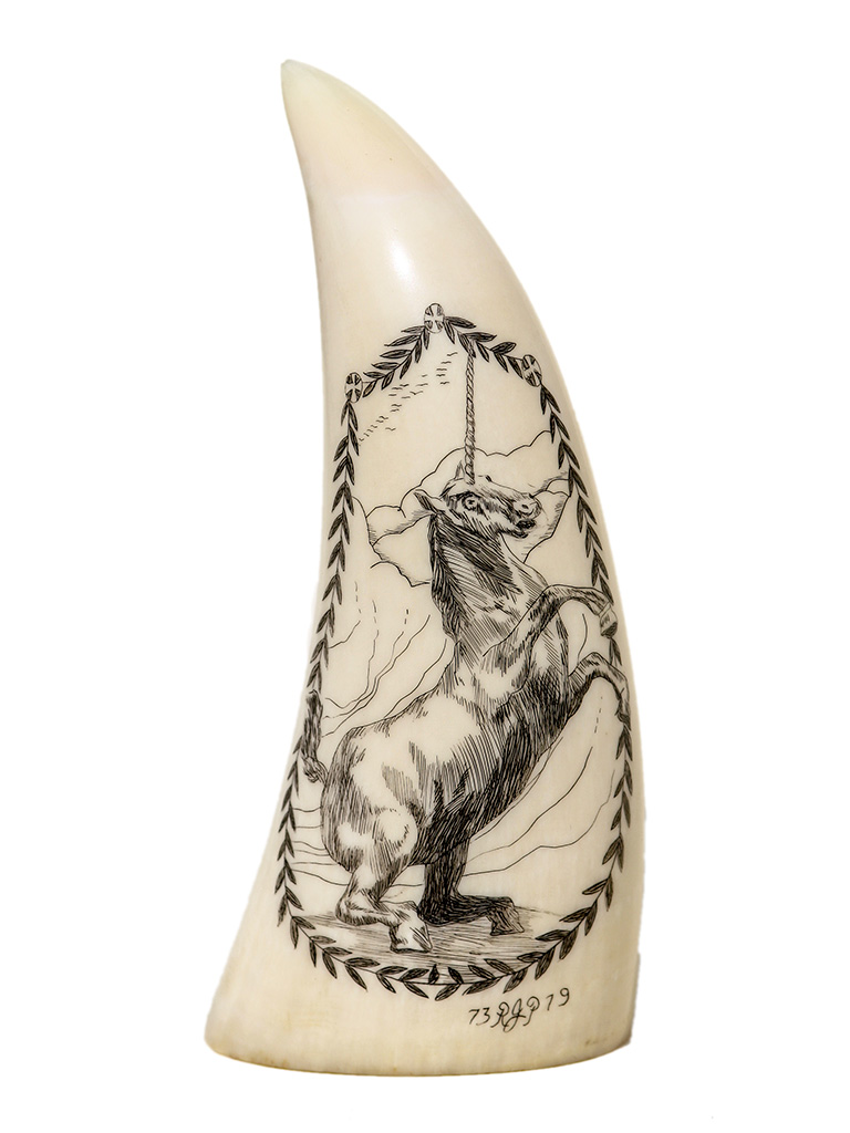 Ray Peters Scrimshaw - Unicorn Scrimshaw